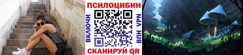 Галлюциногенные грибы Psilocybine cubensis  Осинники 